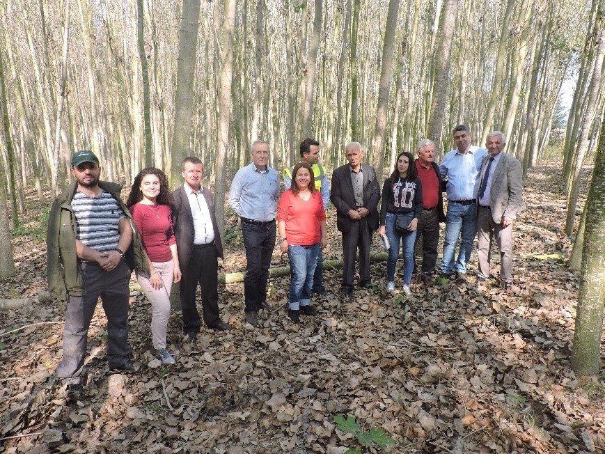 Multi-stakeholder meeting on fast growing tree species, Albania
