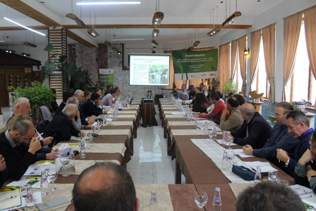 Round table on chestnut value chain development