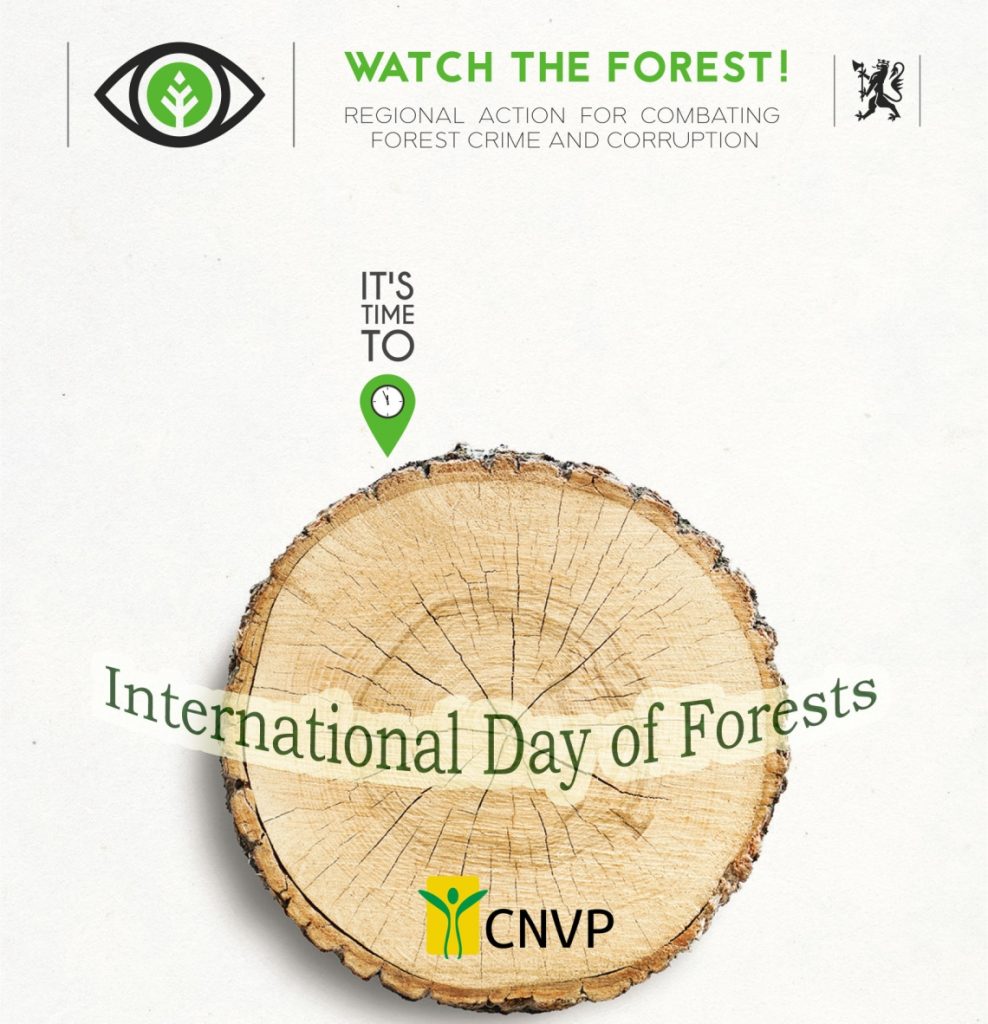 International Day of Forests – 21 March 2019