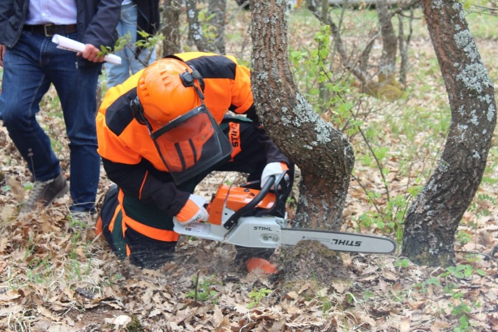 Training on safety in handling forestry tools and equipment