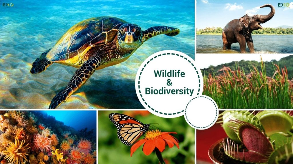 International Day for Biological Diversity