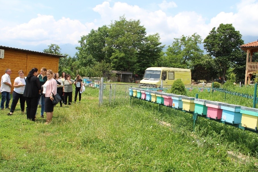 Capacity building for improved bee-keeping