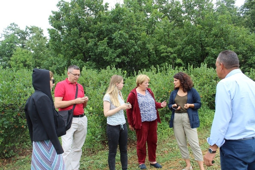 Representatives from Swedish Embassy visited project partners in Kosovo