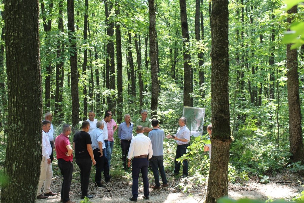 CNVP Kosovo organizes a regional training on Joint Forest Management
