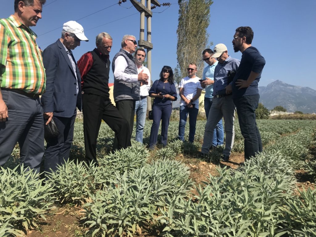 Training on Organic Cultivation of MAPs in Albania