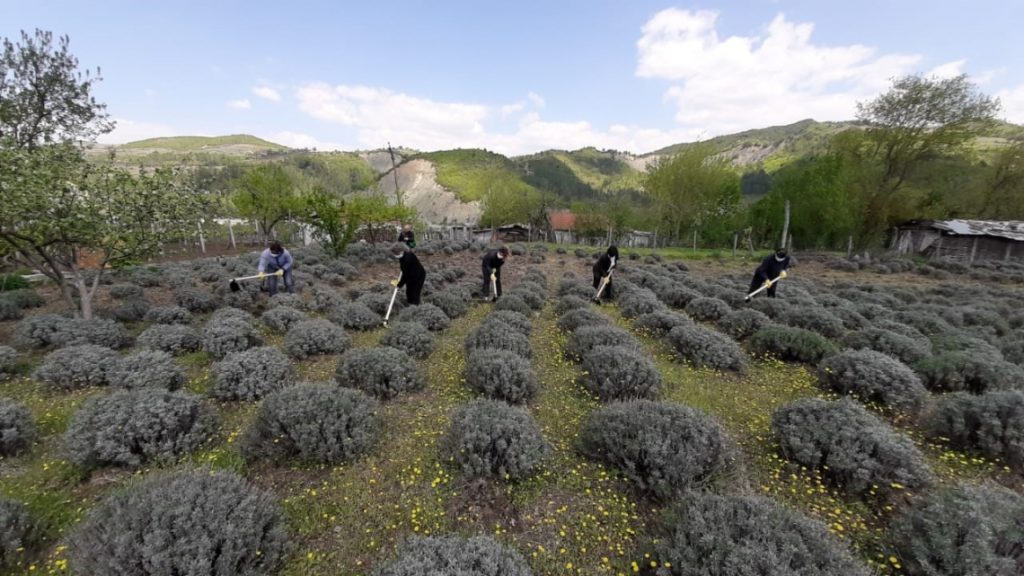 COVID 19-adapted support of rural women in Gramsh, Albania