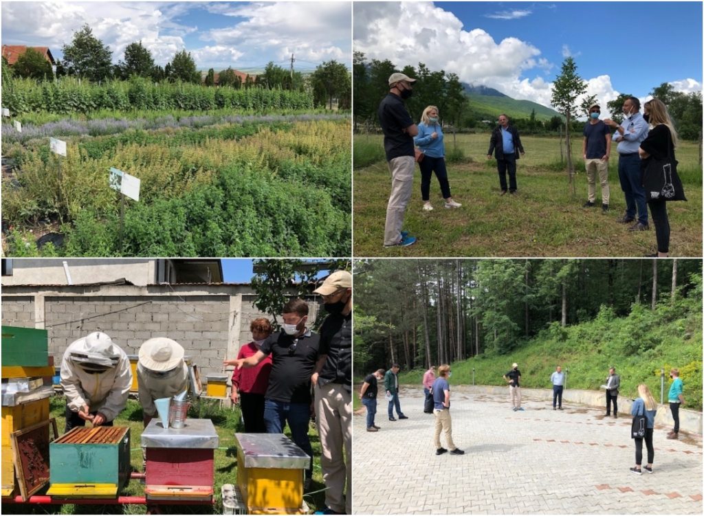 Field visit in the frame of SSPDF project