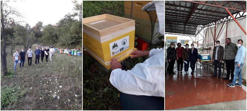 Improving income generation through the beekeeping sector