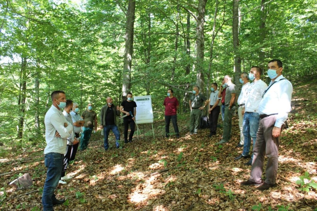 Capacity building on forest management planning, monitoring, and silviculture