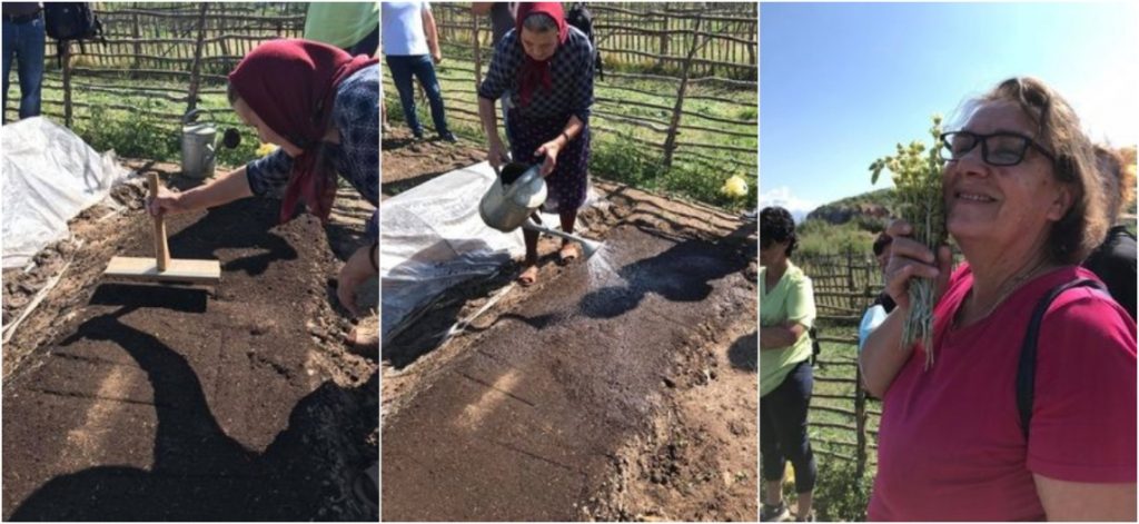 Study Visit to Albania for demonstration sowing of mountain tea