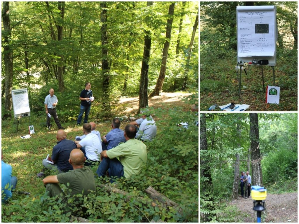Capacity development on forest management planning, monitoring and silviculture