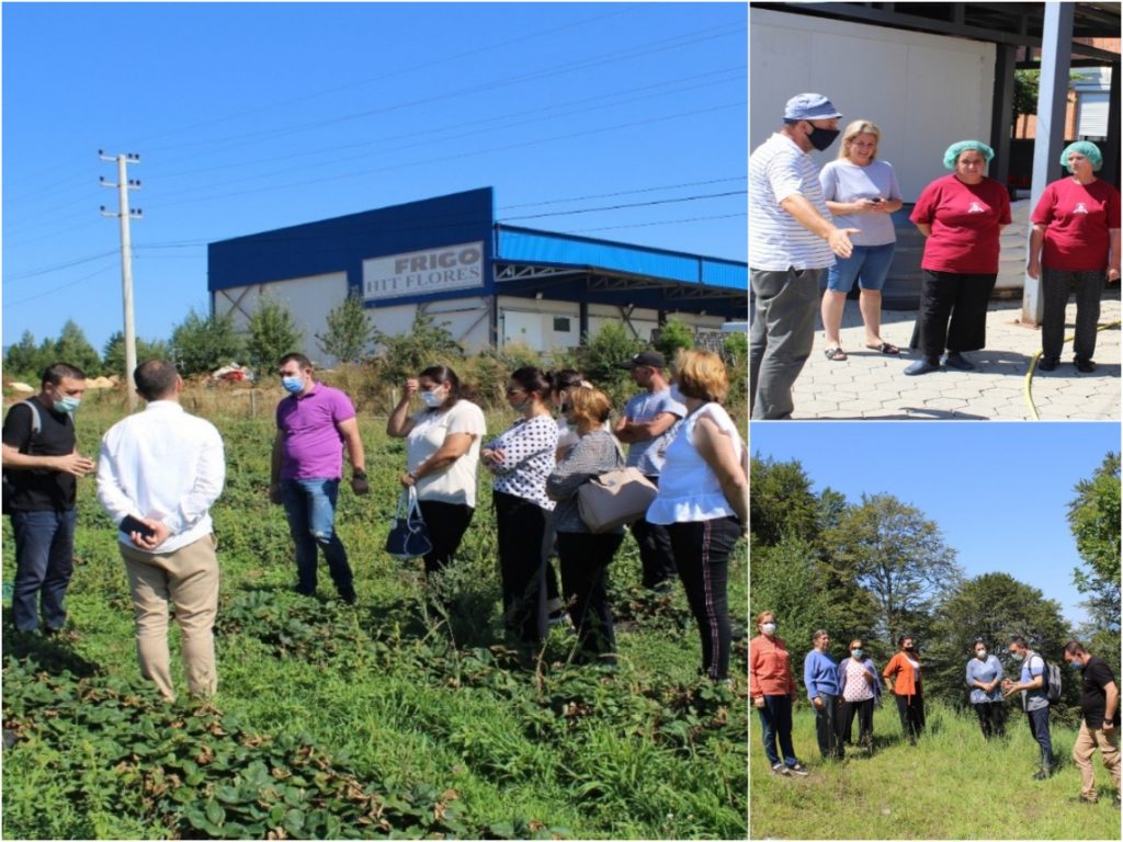 Training of women entrepreneurs in vegetable and medicinal plants production & processing