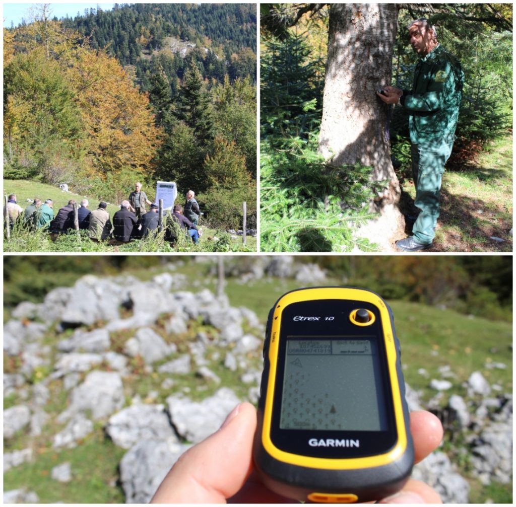 Third capacity building training on forest management planning, monitoring, and silviculture