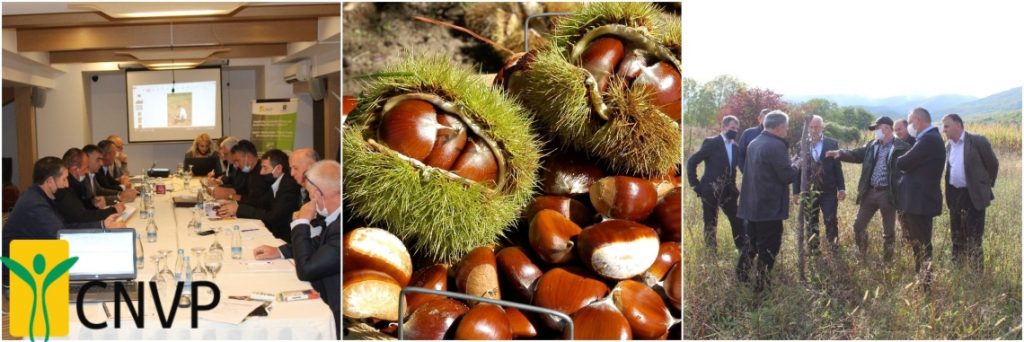 Regional Working Group meeting for the improvement of Chestnut Forest Ecosystem
