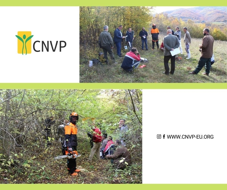 Training on silvicultural works and safety measures to implement Joint Forest Management