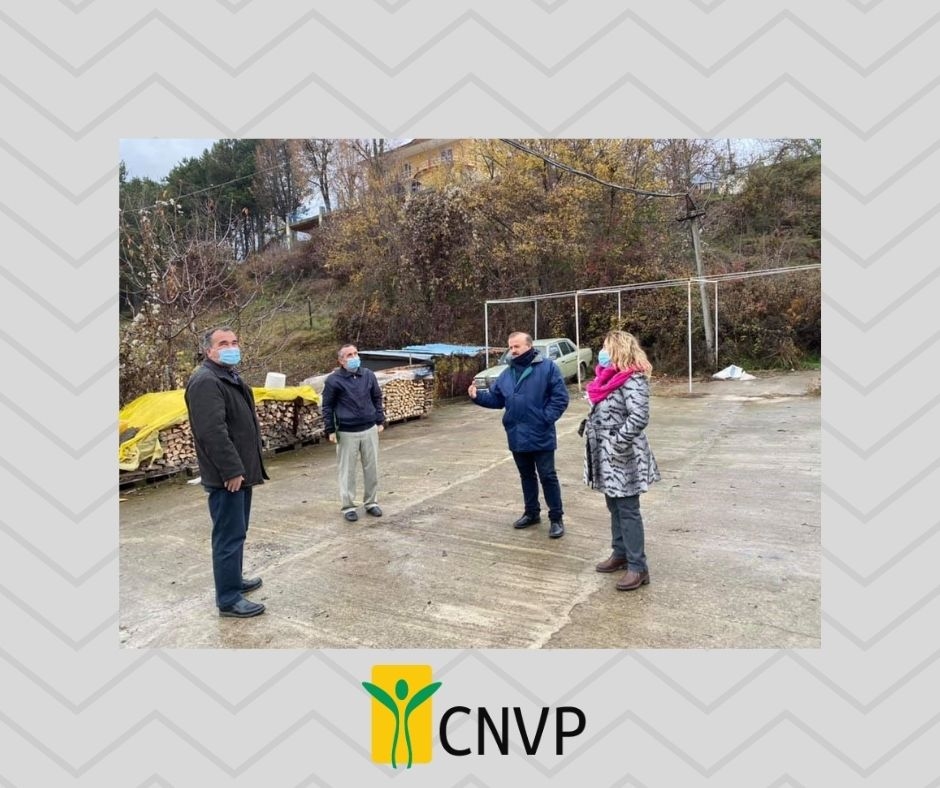 Cultivation of MAP in the Diber region