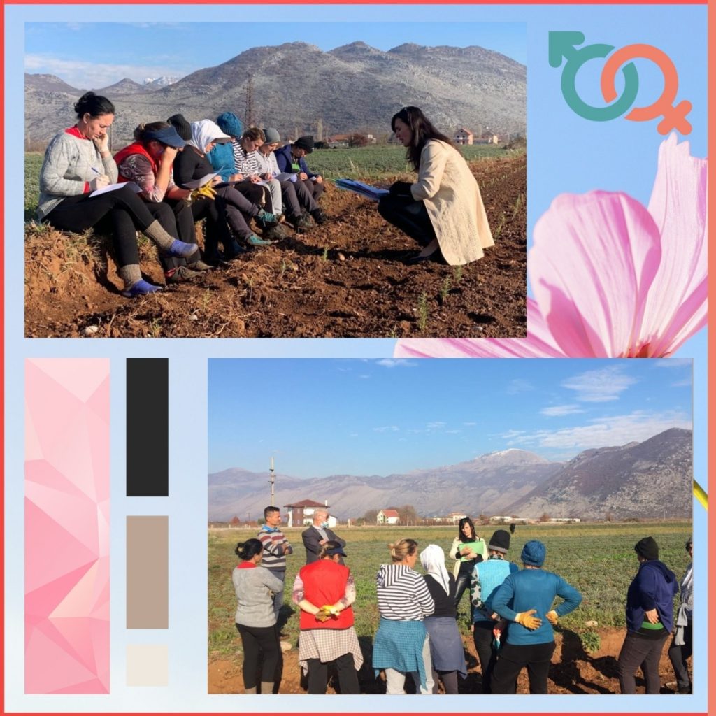 Gender mainstreaming for local economic development in Albania