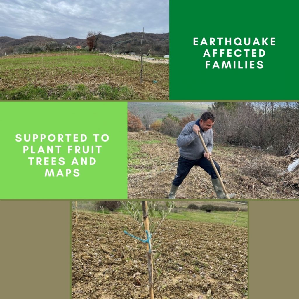 Earthquake affected families in Albania supported to plant fruit trees and MAPs