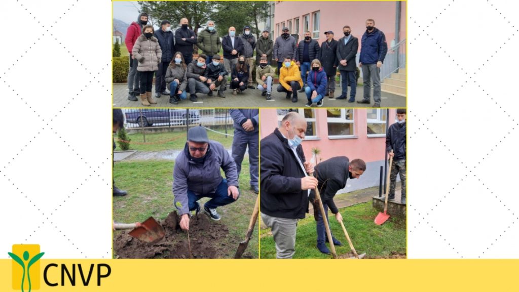 CNVP has celebrated International Forests Day by planting trees
