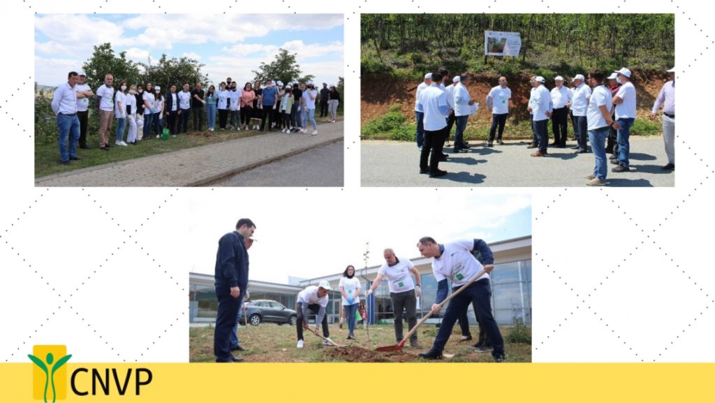 CNVP and its partners mark the World Environment Day
