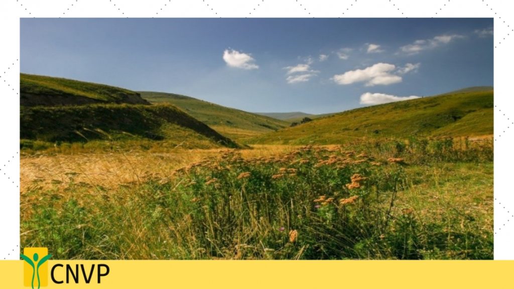 CNVP starts a new regional project “Sustainable Future for Sharr/ Korab-Koritnik”