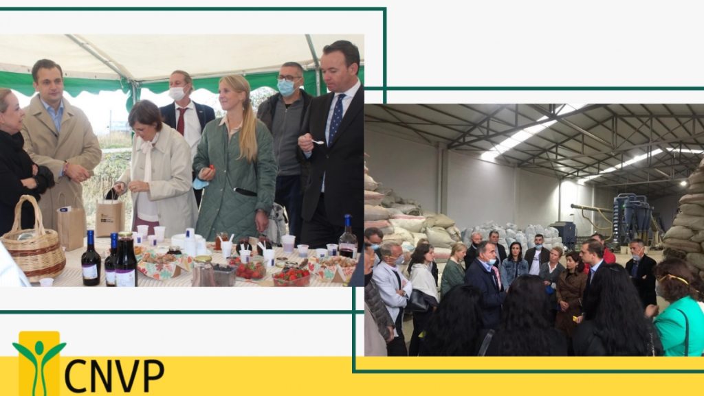 Swedish delegation visits CNVP projects in Kosovo and Albania