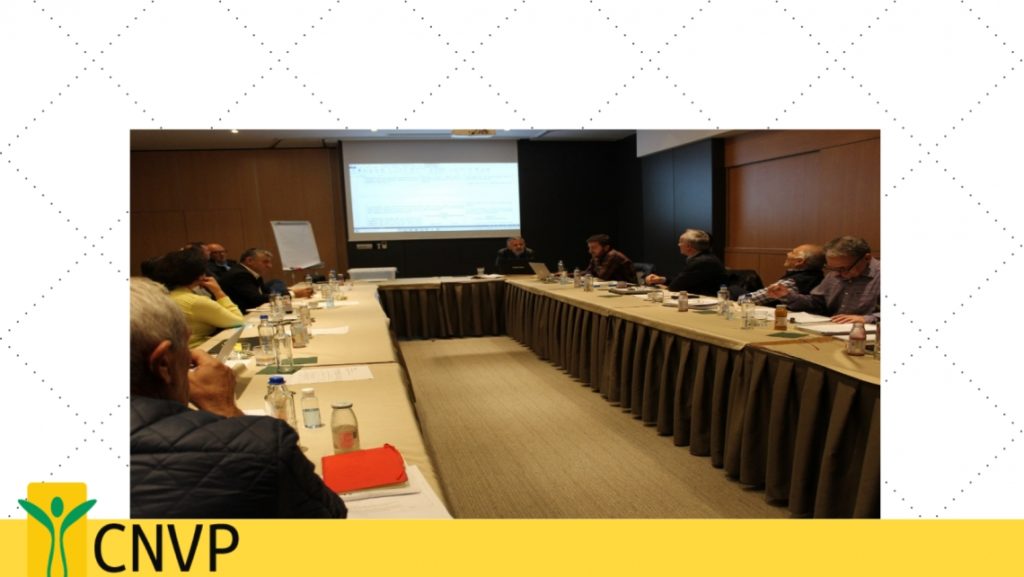 Consultation process for the Project Law on Forestry