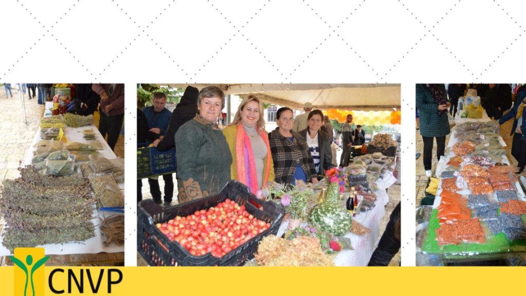Harvest Fest in  Diber Region
