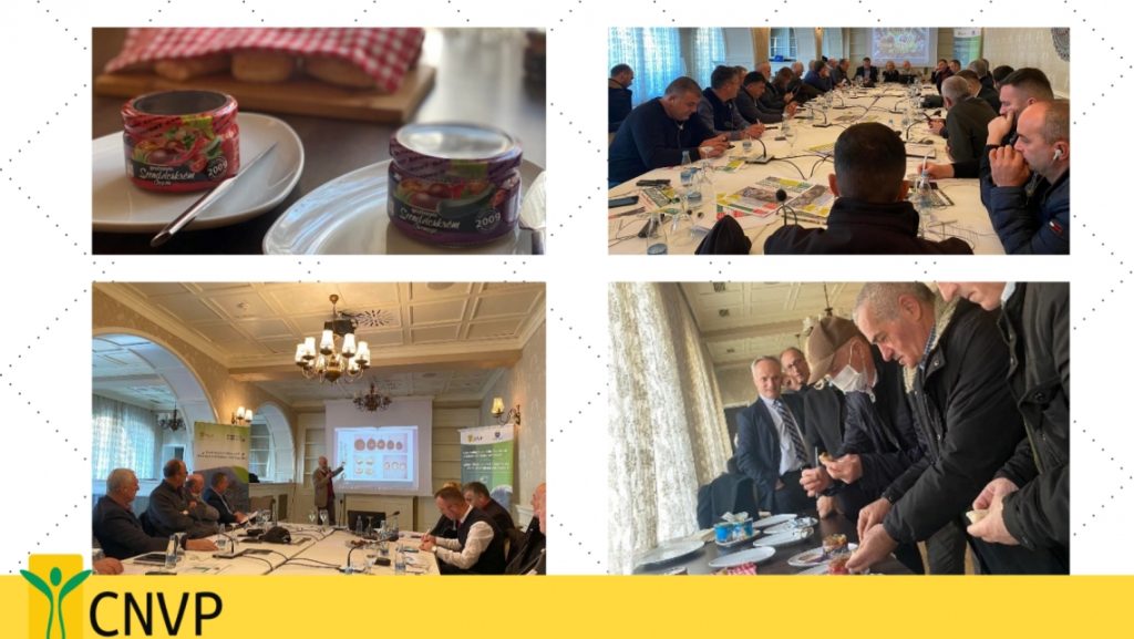 Round table discusion on chestnut value chain development