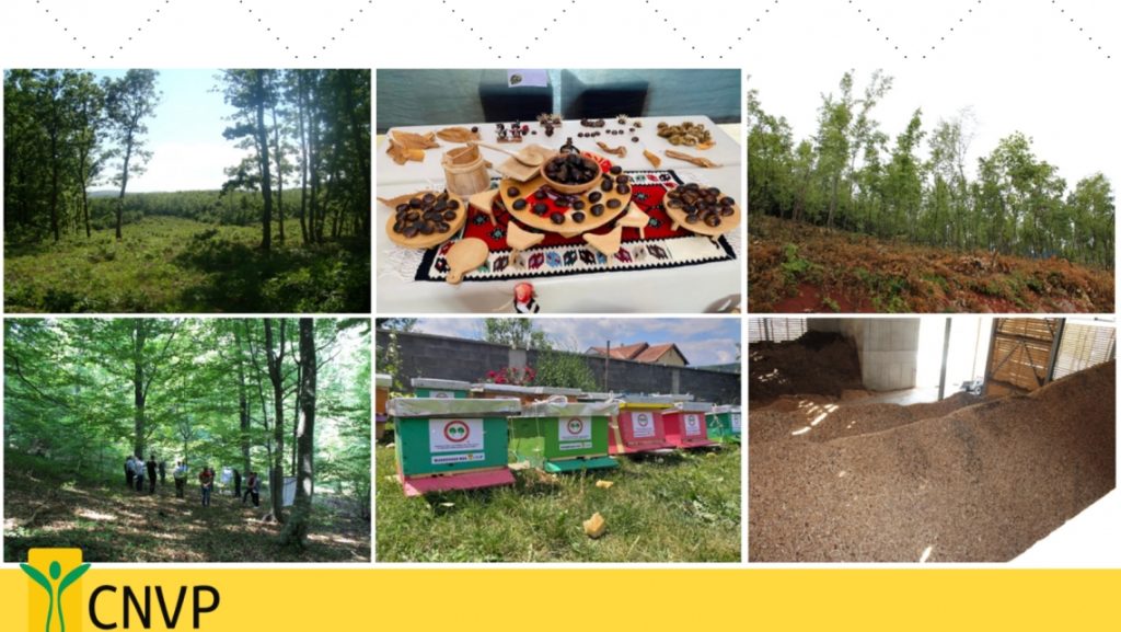 CNVP Kosovo starts a new five-year project SUNREED