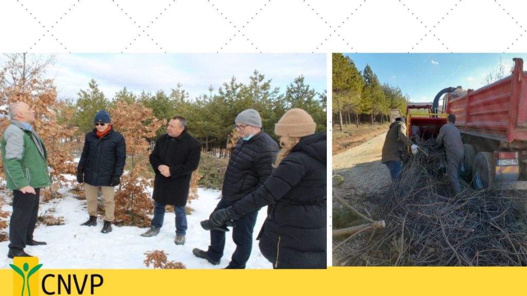 CNVP Kosovo held a field visit on biomass production with the representatives of the Sweden Embassy
