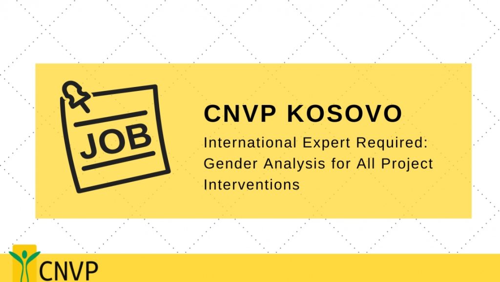 International Expert required for CNVP Kosovo