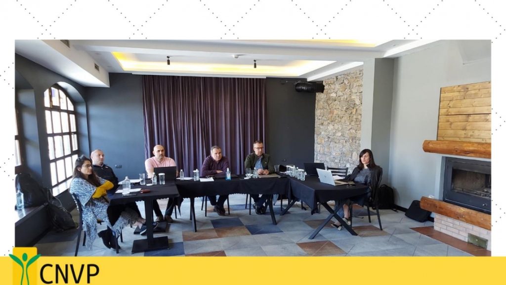 CNVP Foundation Strategy Planning