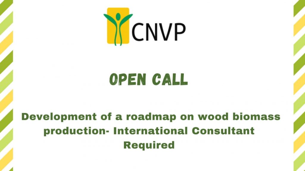 International Expert Required: Development of a roadmap on wood biomass production and marketing
