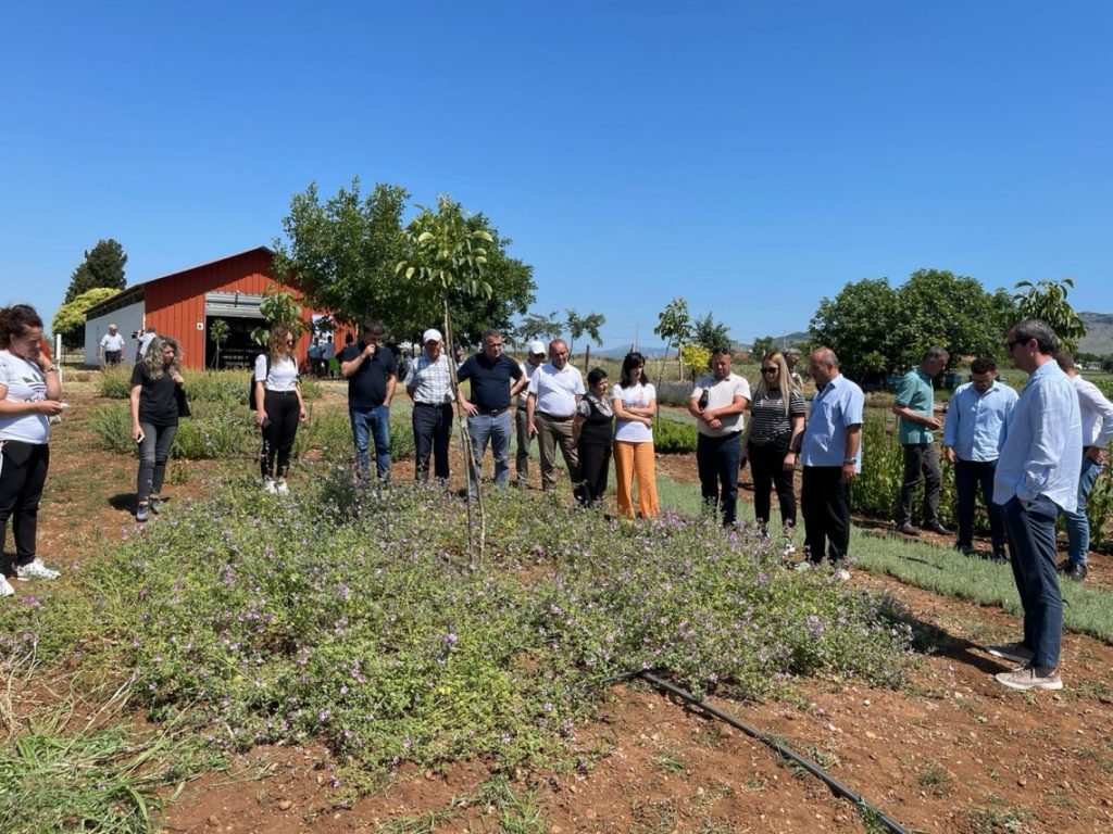 Field Day in MAPs genetic resources garden in Koplik, Malesia e Madhe