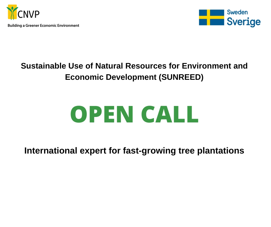 Open Call: International expert for fast-growing tree plantations
