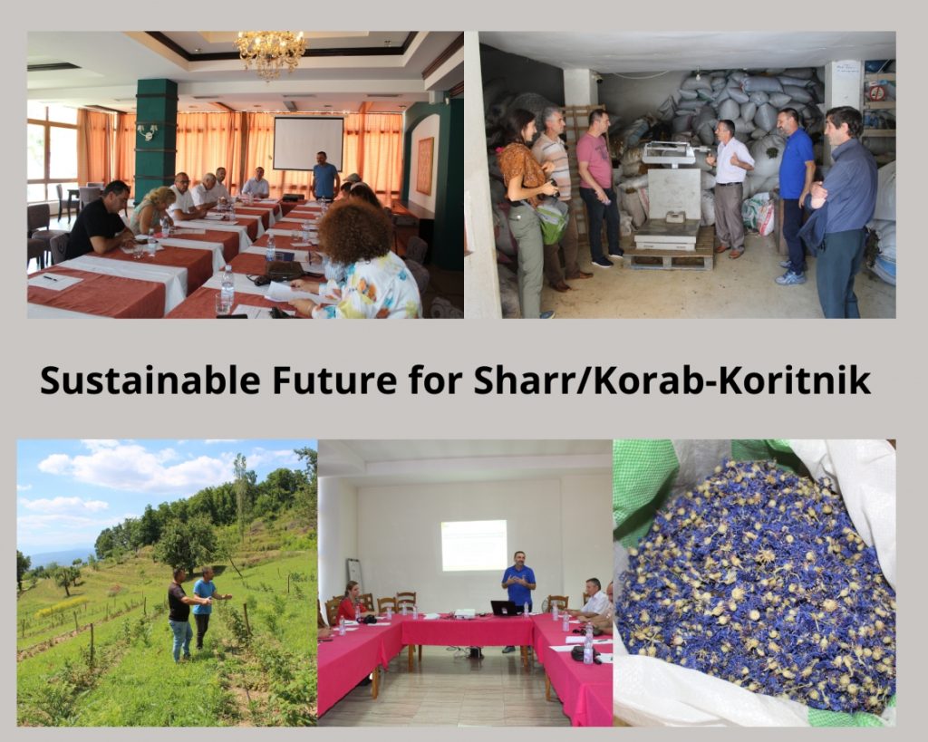 CNVP and stakeholders discuss on sustainable collection of NWFP’s and cultivation of MAP-s