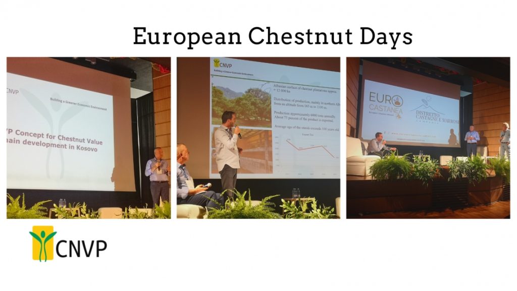 CNVP participated in the 12th meeting of the European Chestnuts Network in Campania, Italy