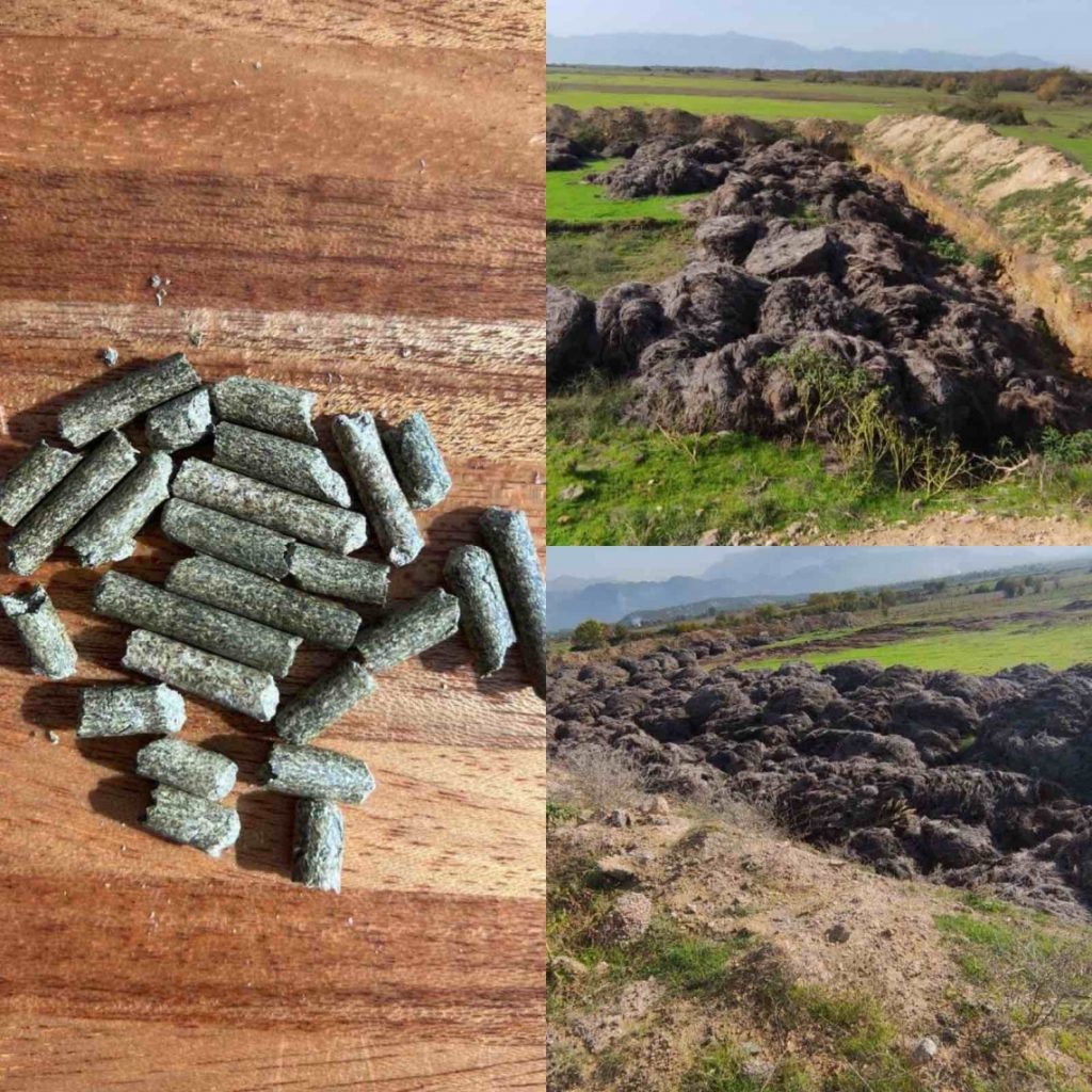 Energy production from Medicinal & Aromatic Plants residues