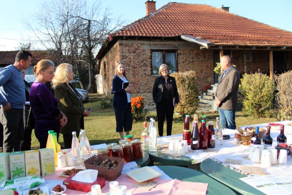 CNVP and its partners in Kosovo host the Director General of Sida