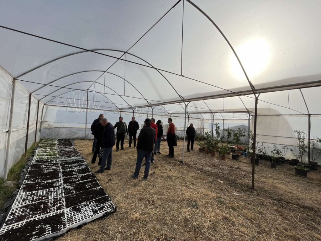 Field day at Qato MAPs nursery in Berat