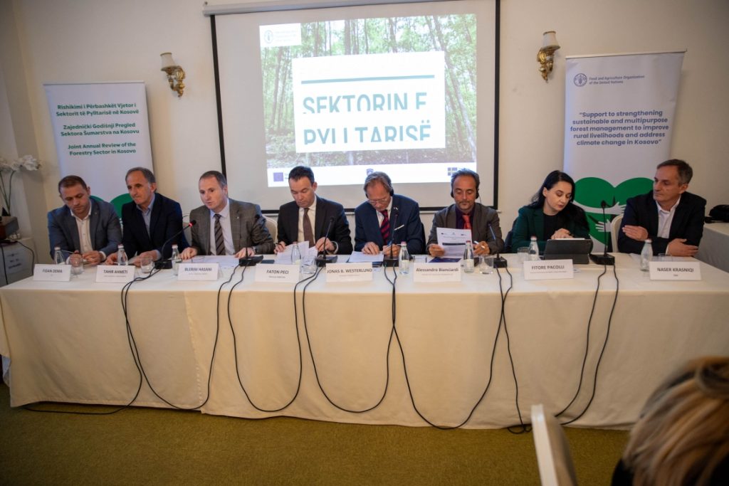CNVP Participates in High-Level Joint Annual Review of Kosovo's Forestry Sector