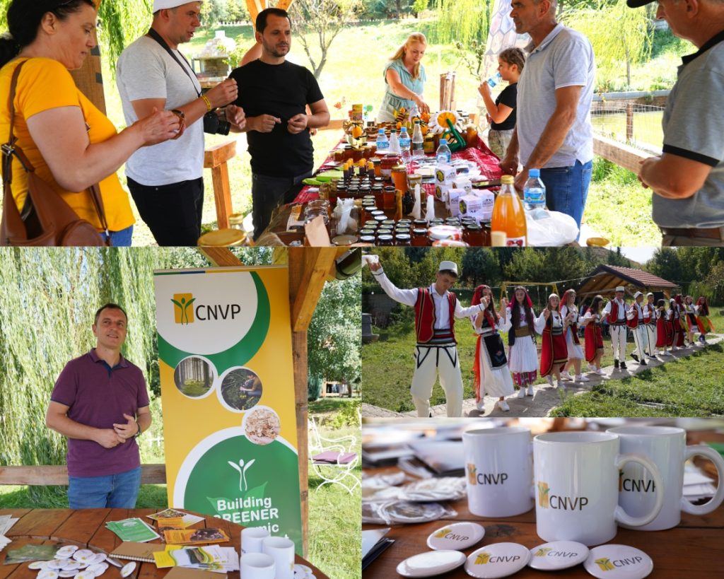 Celebrating Success: European Green Belt Days Fair in Kukës, Albania
