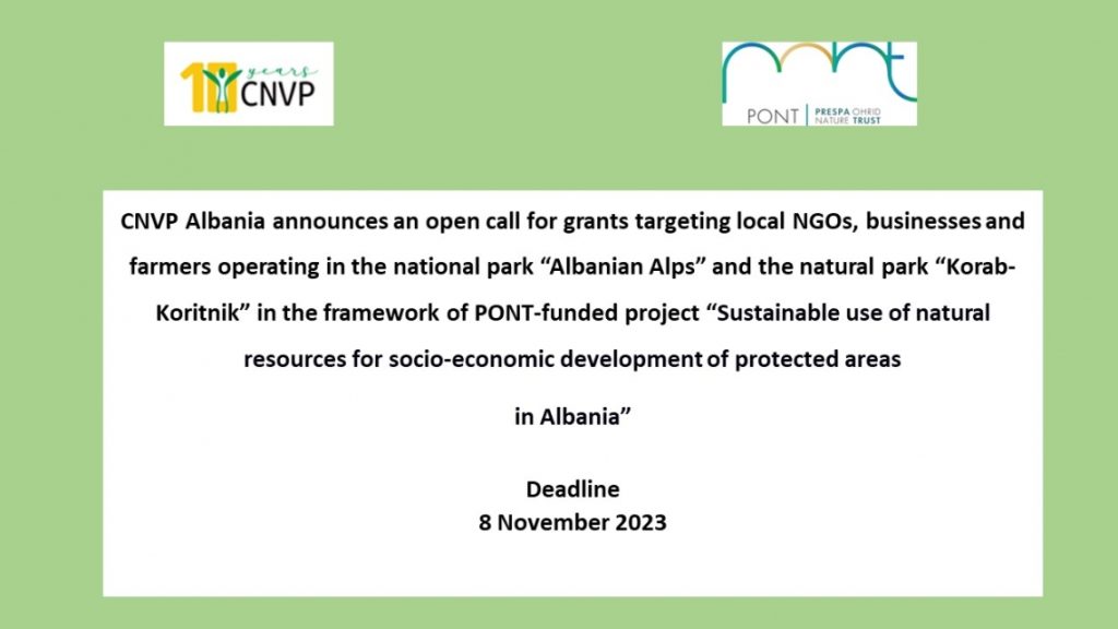 Thirrje per projekt propozime – Open call for project proposals