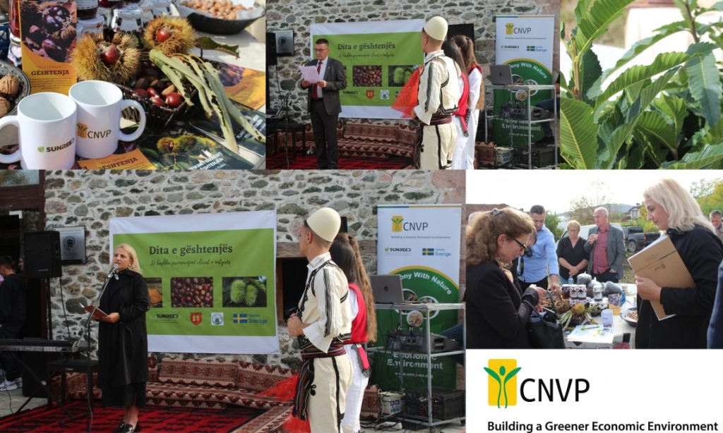” Chestnut Day” Inspiration for the Improvement and Sustainability of Natural Resources