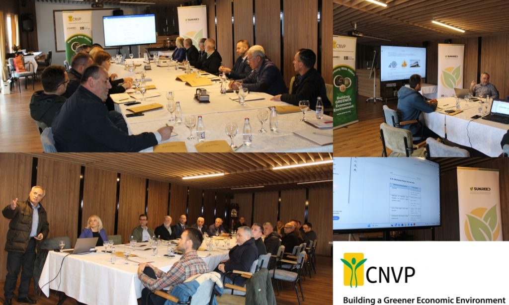 Bottom-Up approach and Local Coordination on Wood Biomass Market Development in Kosovo