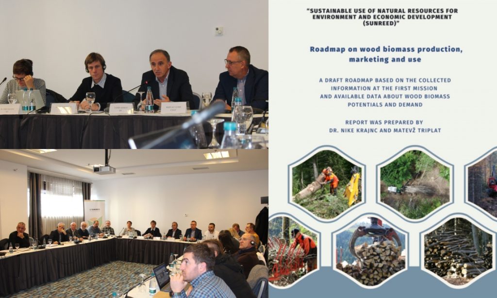 CNVP Initiative for Advancing Sustainable Wood Biomass Utilization in Kosovo
