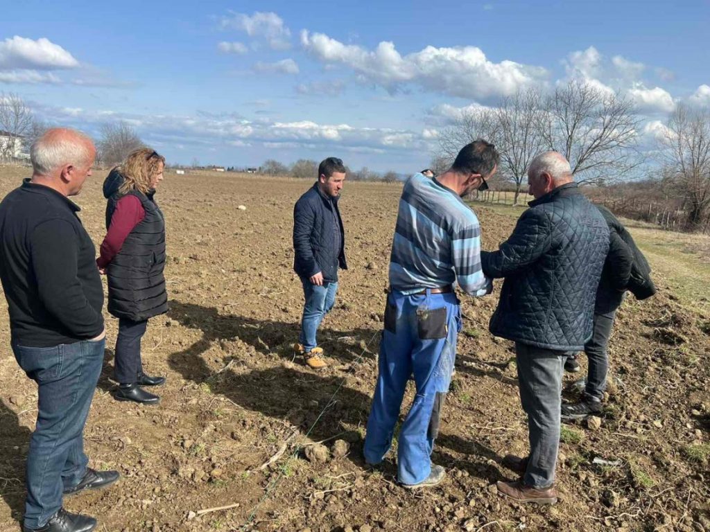 Fast growing tree plantations as an Innovative approach for sustainable solutions in Kosovo