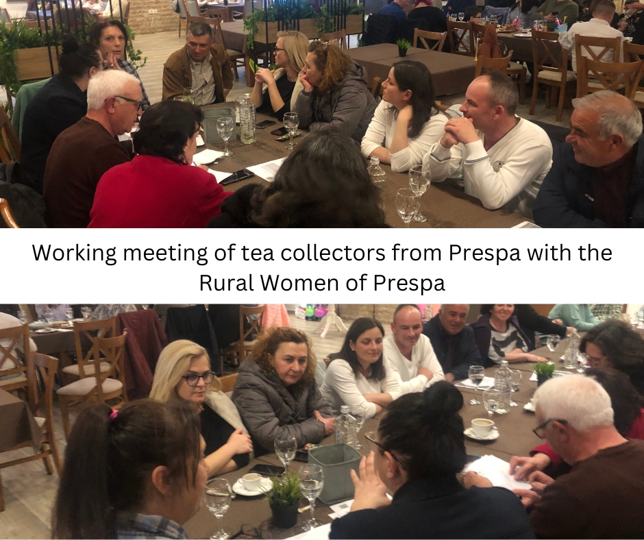 A working meeting between Prespa tea collectors and the Rural Women of Prespa