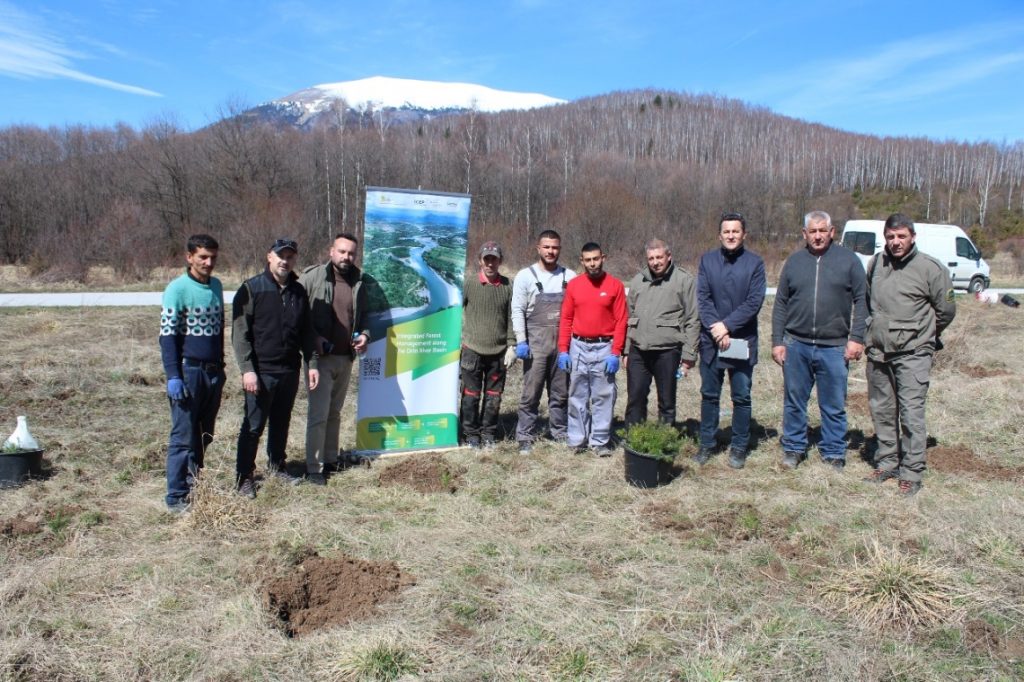 Celebrating International Day of Forests 2024